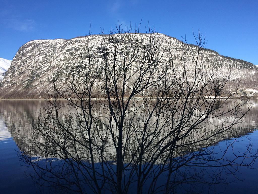 Overvoll Farm Stranda  Exteriér fotografie